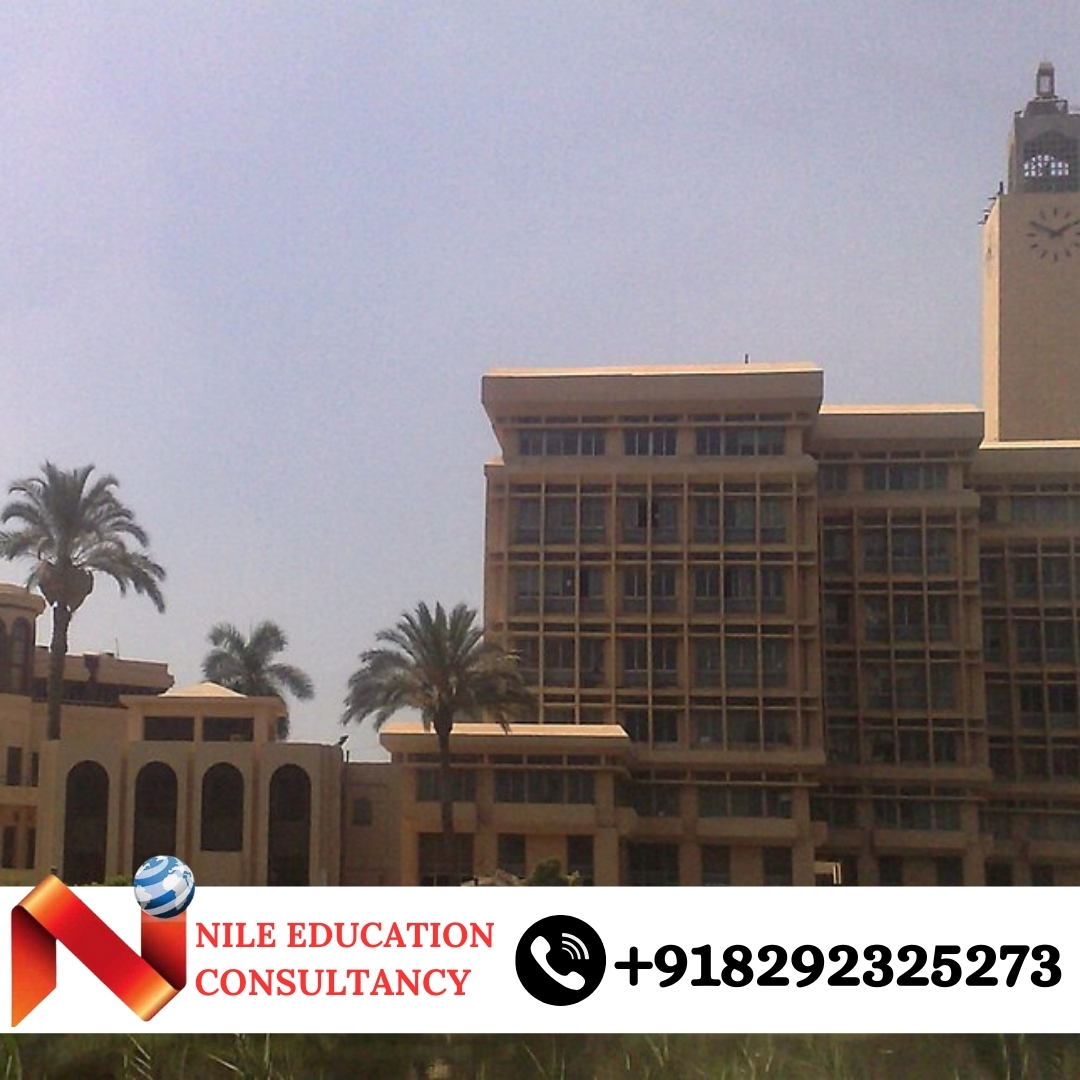 Menoufia University Hospital Training